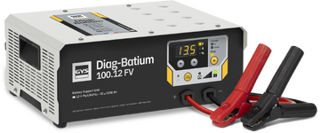BSU DIAG-BATIUM 100.12 FV (2.5m Cables) - UK